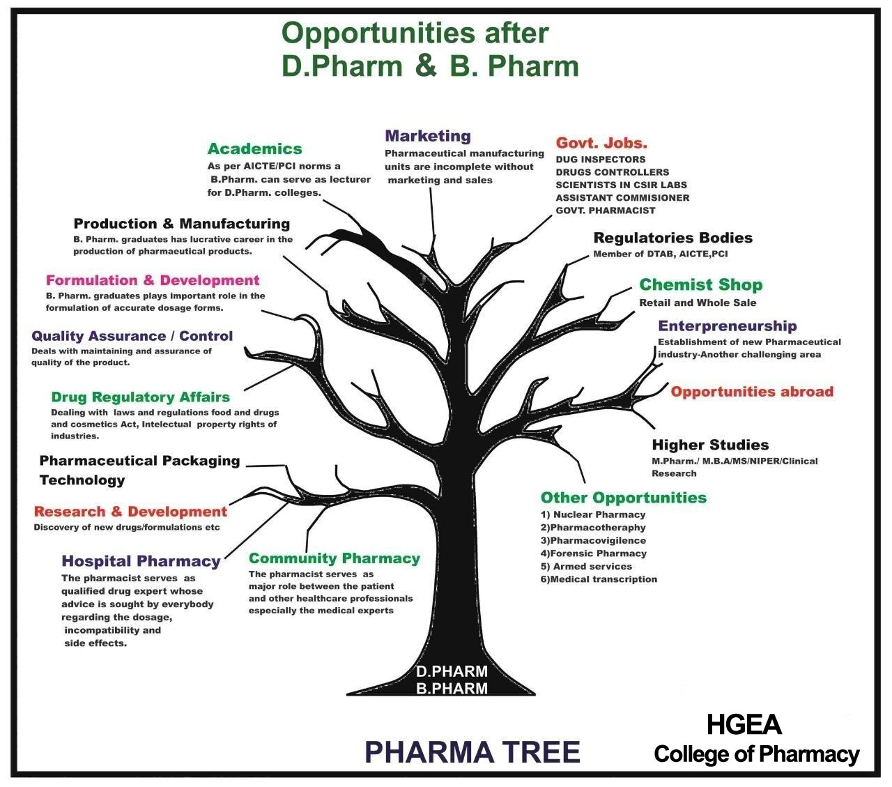 Pharmacy Course Tree
